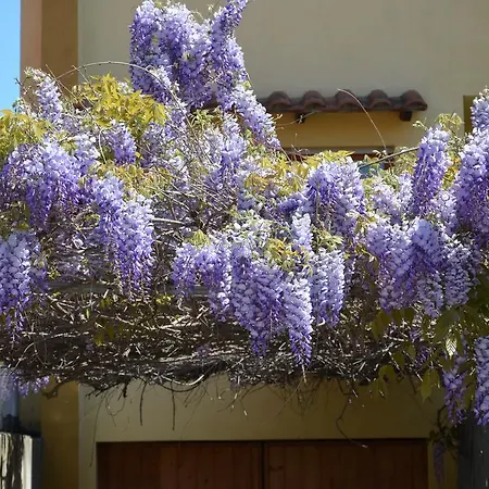 Casa Sa Bertula Appartamento *